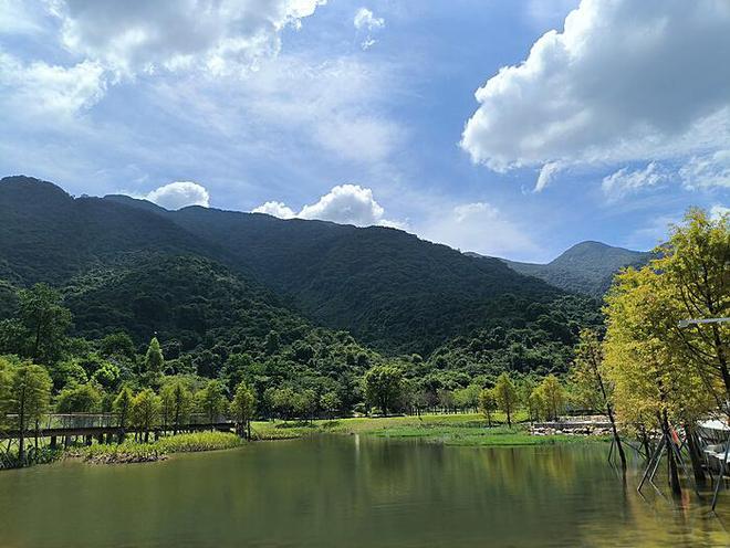 甲流发烧期间，洗澡的明智选择——为何不建议此时沐浴？